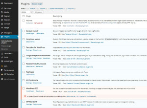 De functionaliteit van WordPress is uit te breiden met plugins